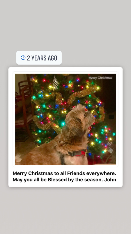 Spencer the dog