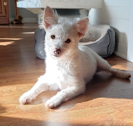 Fritz