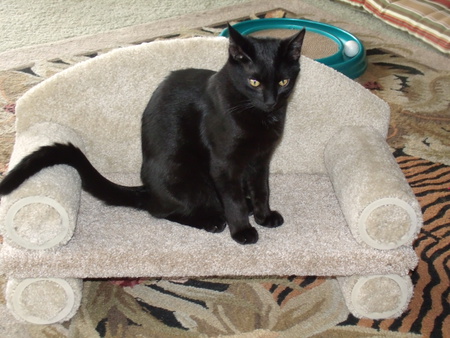Samson