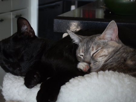 Samson and Delilah