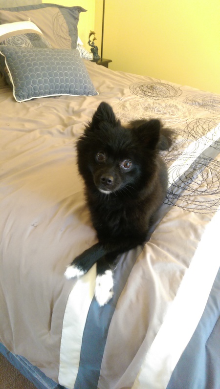 Minnie