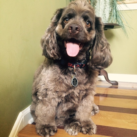 Kona the Big Kahuna