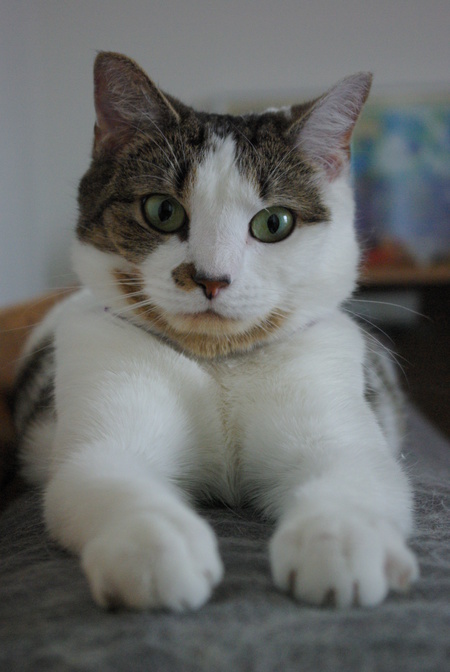 Omar