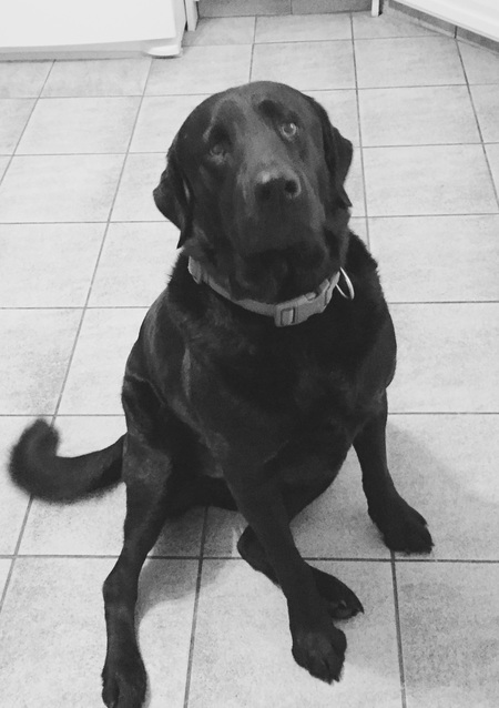 Bronson