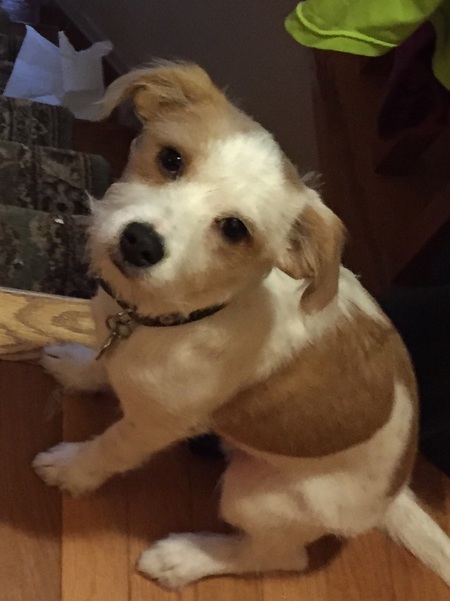 Sammy