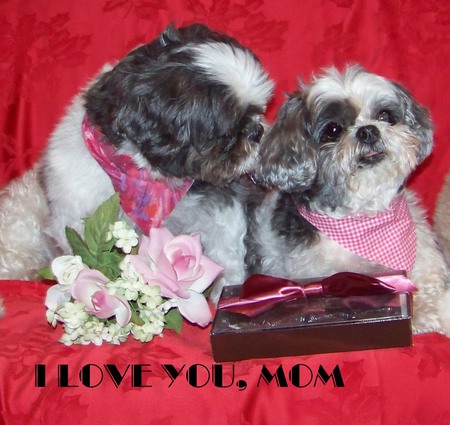 Dixie and Peanut