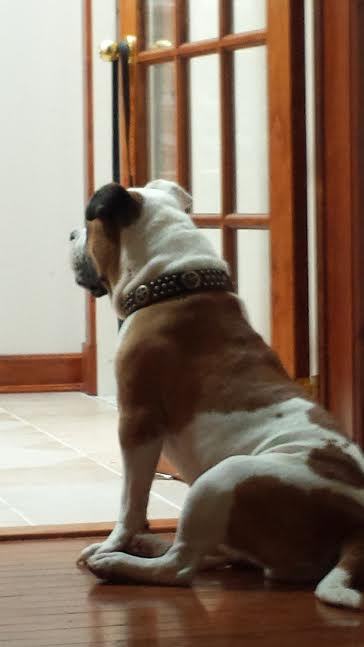 Marshall