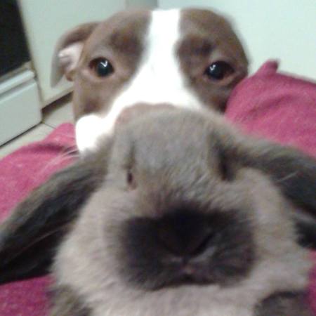Peaches & Bunny