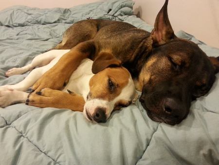 Jack & Remi