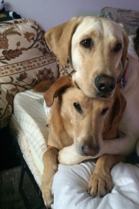 Dannie & Sonny