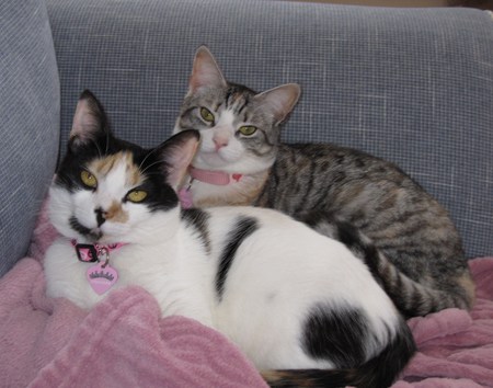 Pasha & Missy