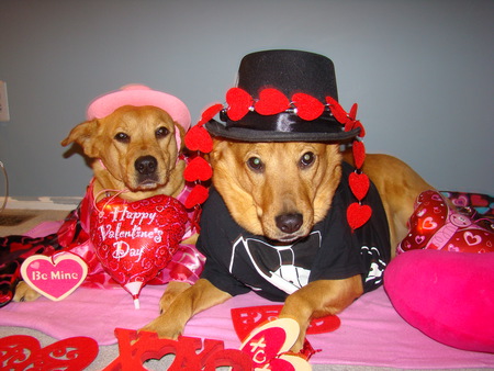 Jack & Bailey