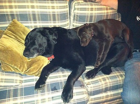 Harley&Lily