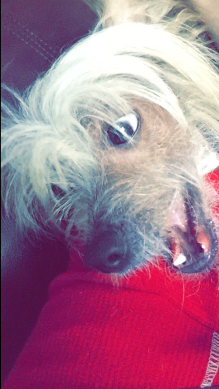 Chico