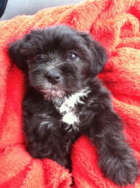 Lucy