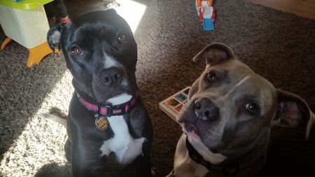 Luna and Zeus