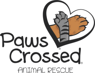 Logo for "One By One" Calendar Contest