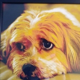 Entry image for Andy