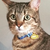 Entry image for Rory Patrick 