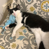 Entry image for Mr Meeseeks 