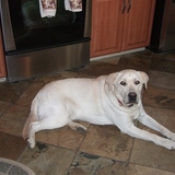 Entry image for Beau