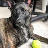 Entry image for Vince