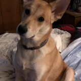 Entry image for Quinn