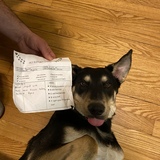 Entry image for Bear (FKA Hopper)