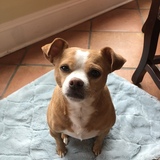 Entry image for PeeWee