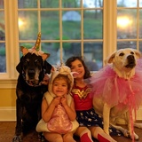 Entry image for Rocco and Joules