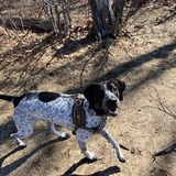 Entry image for Gunner