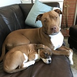 Entry image for Andy and Junior “aka Kobe”