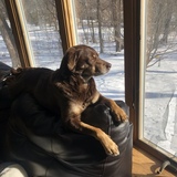 Entry image for Asia