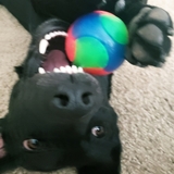 Entry image for Emma