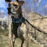 Entry image for Rider