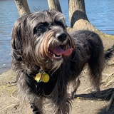 Entry image for Bailey