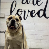 Entry image for Titus Winston