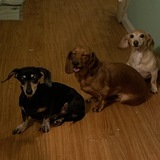 Entry image for Rika & Scarlet & Charlotte