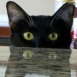 Entry image for Marlee