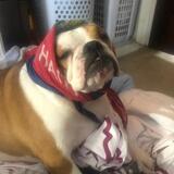 Entry image for Ellie 