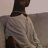 Entry image for Jojo