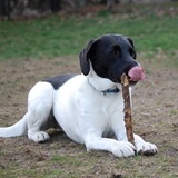 Entry image for Doris Dalrymple Feiner