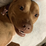 Entry image for Kate