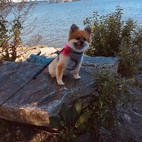 Entry image for Marie