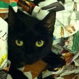 Entry image for Bitsy