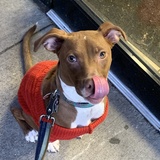 Entry image for Julie Brown 