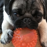 Entry image for Dusty