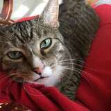 Entry image for Ricky Wu