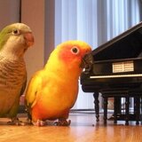 Entry image for Sunny and Nikki