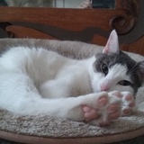 Entry image for Mel (Melanie)